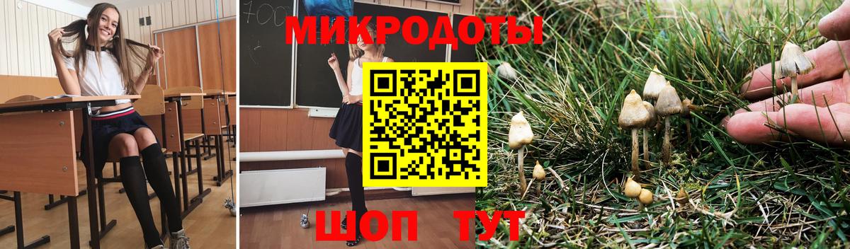 Псилоцибиновые грибы MAGIC MUSHROOMS  Вход с VPN  Соликамск 